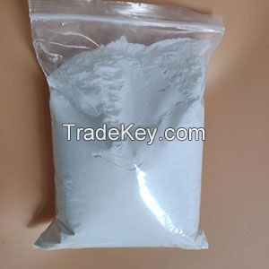 Piracetam CAS 7491-74-9