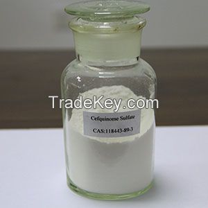 Cefquinome Sulfate CAS 118443-89-3, 98753-19-6