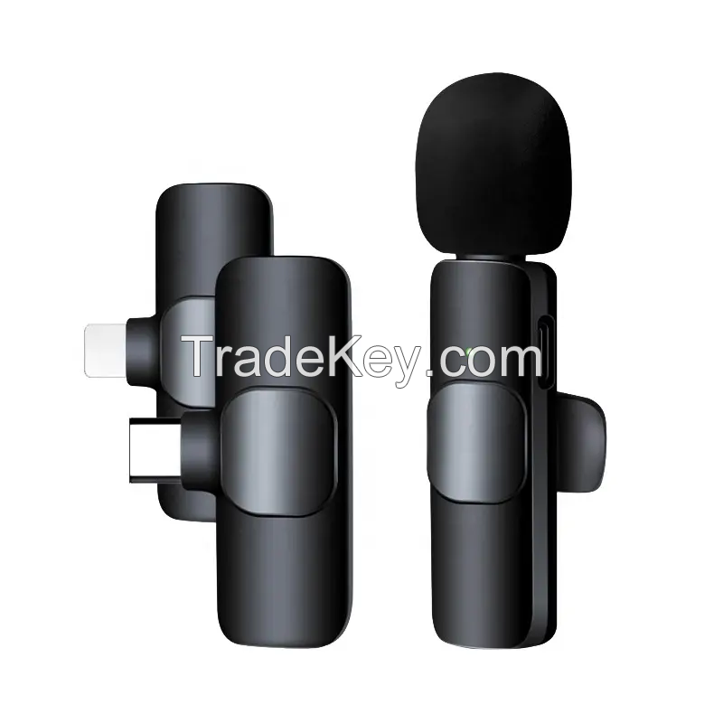 Small Portable Lapel Lavalier Wireless Microphone - LM01