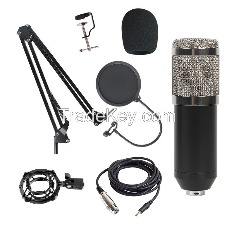 Handheld Mic Wireless Condenser Speaker - CM02