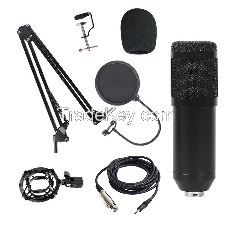 Handheld Mic Wireless Condenser Speaker - CM02