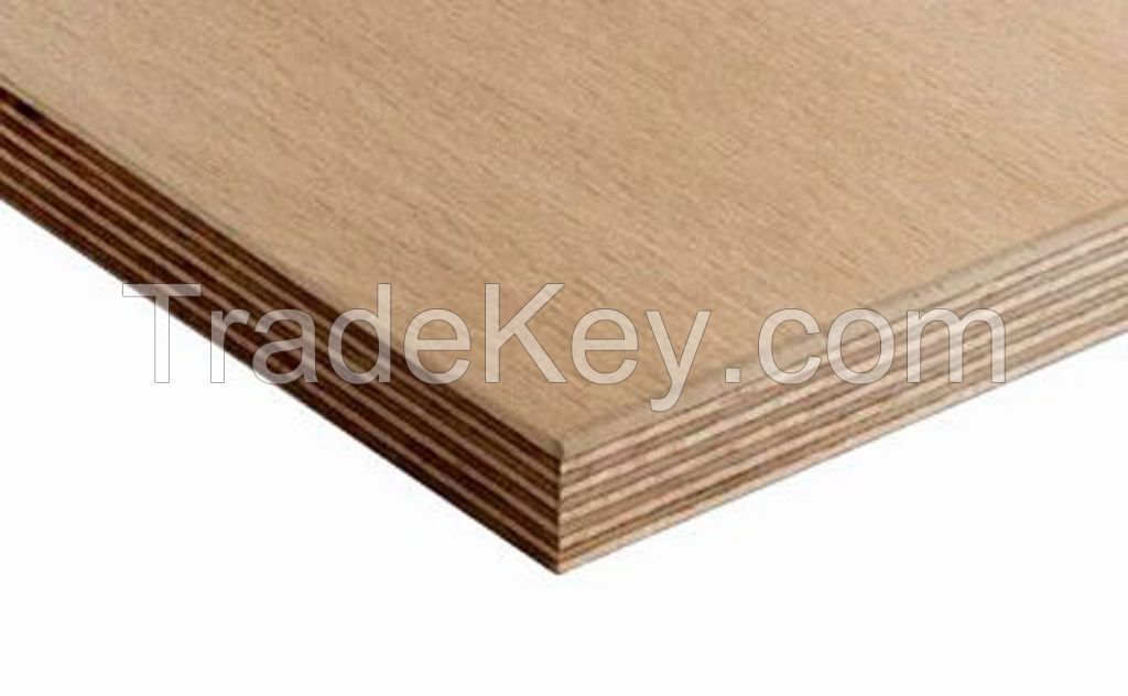 beech plywood commercial plywood used for furniture or on kitchen cabinets