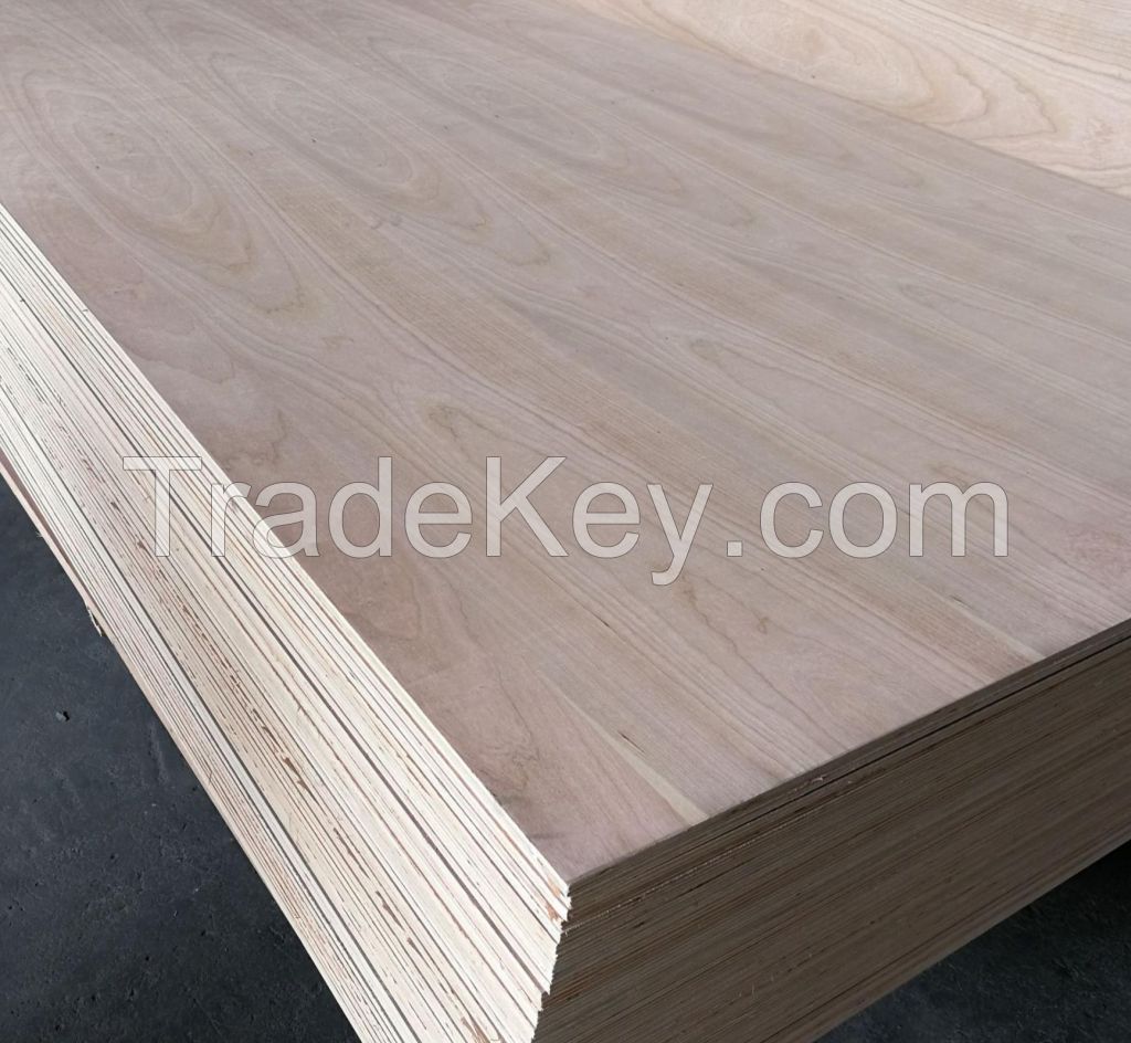beech plywood commercial plywood used for furniture or on kitchen cabinets