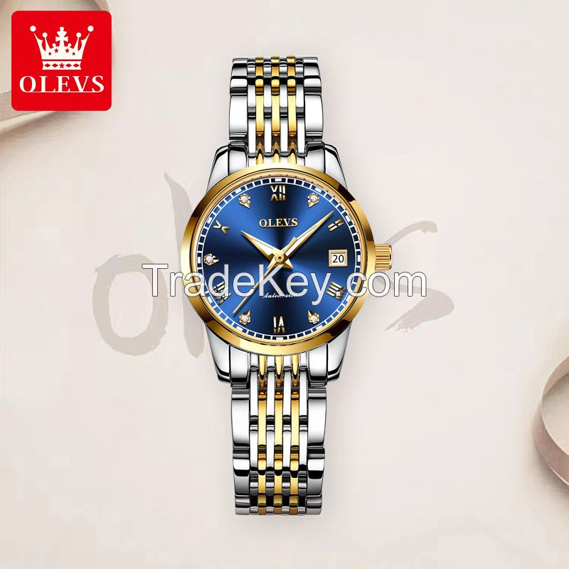 OLEVS 6602 Factory Direct Sales Fashion Fully Automatic Mechanical Watch Night Glow Waterproof Luxury Women's Watch