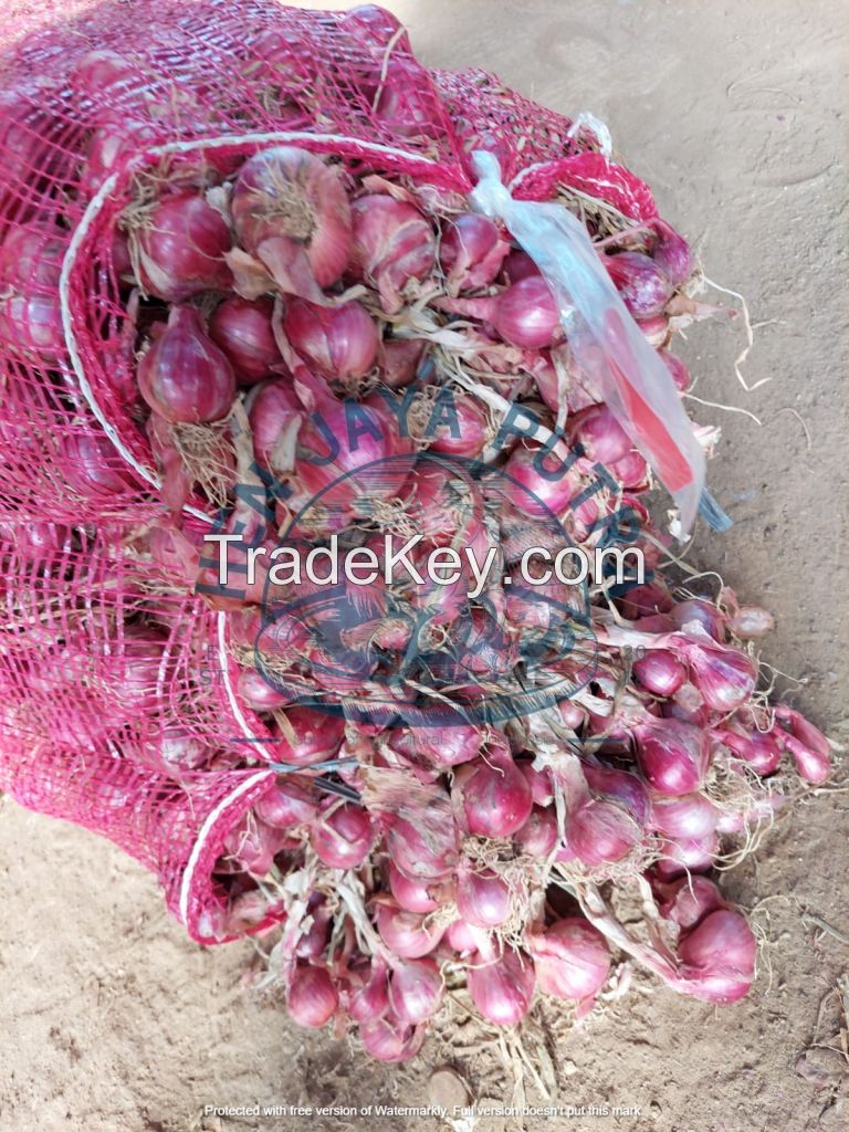 Red Onions / Shallots/ Shallots Brebes