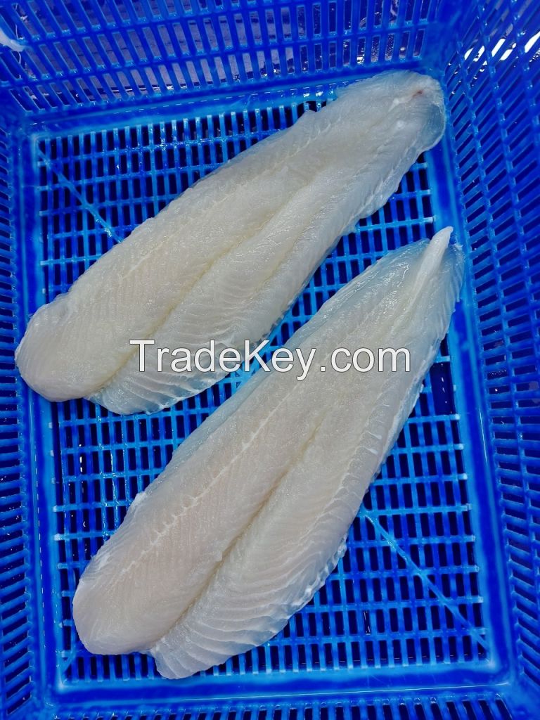 Frozen Pangasius - Fillet