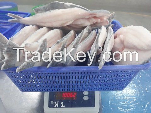 Pangasius Butterfly