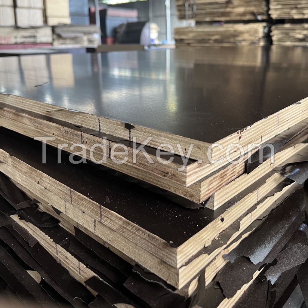 Eucalyptus Shuttering Plywood