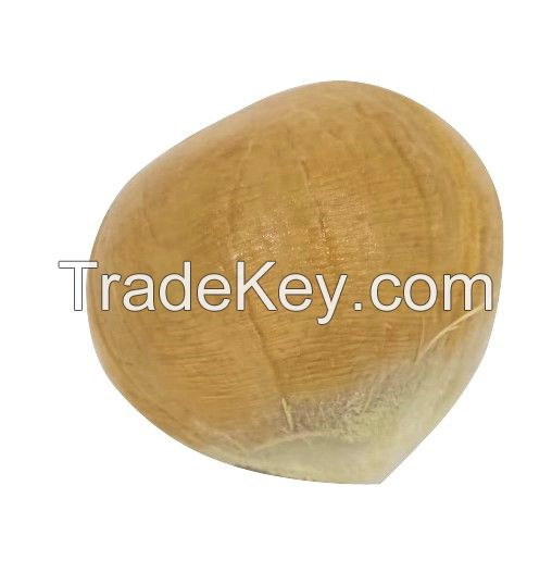 Polished Young Coconut 