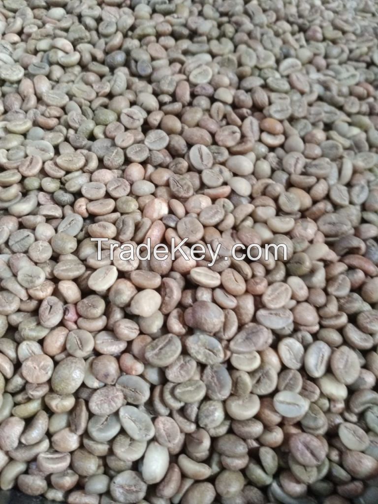 Robusta Coffee Beans