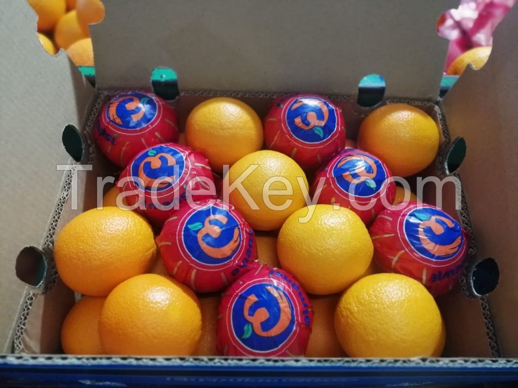 orange , lemon , grapefruit, mandarin