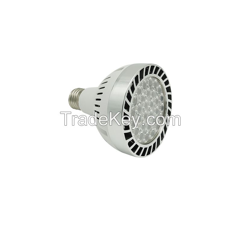 Hight Quality LED PAR30 LIGHTS