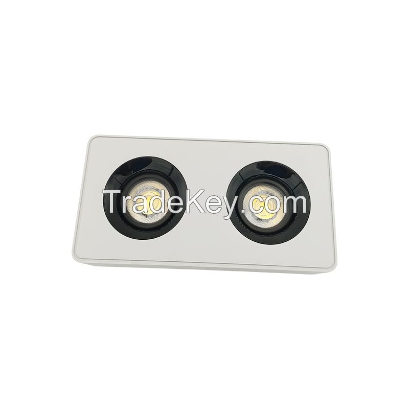 Hight Quality Led Surface Spot Lights and Down Lights