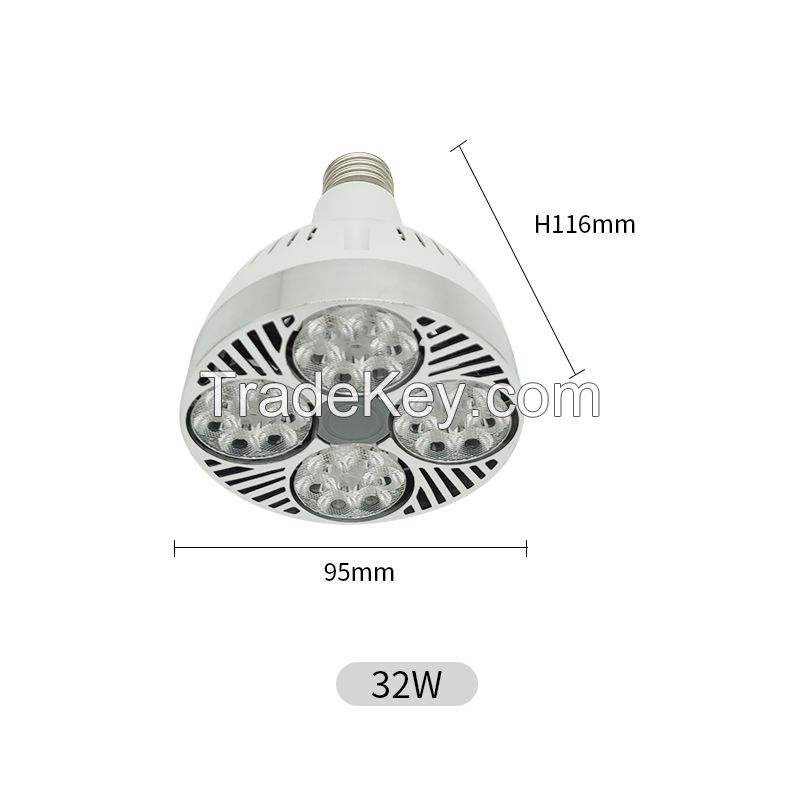 Hight Quality LED PAR30 LIGHTS