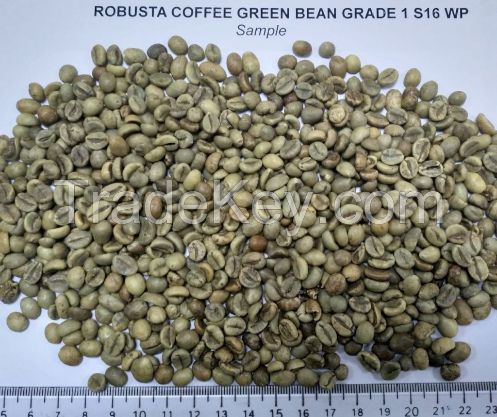 ROBUSTA COFFEE BEANS UNWASHED S18/S16 FAQ Vietnam Origin