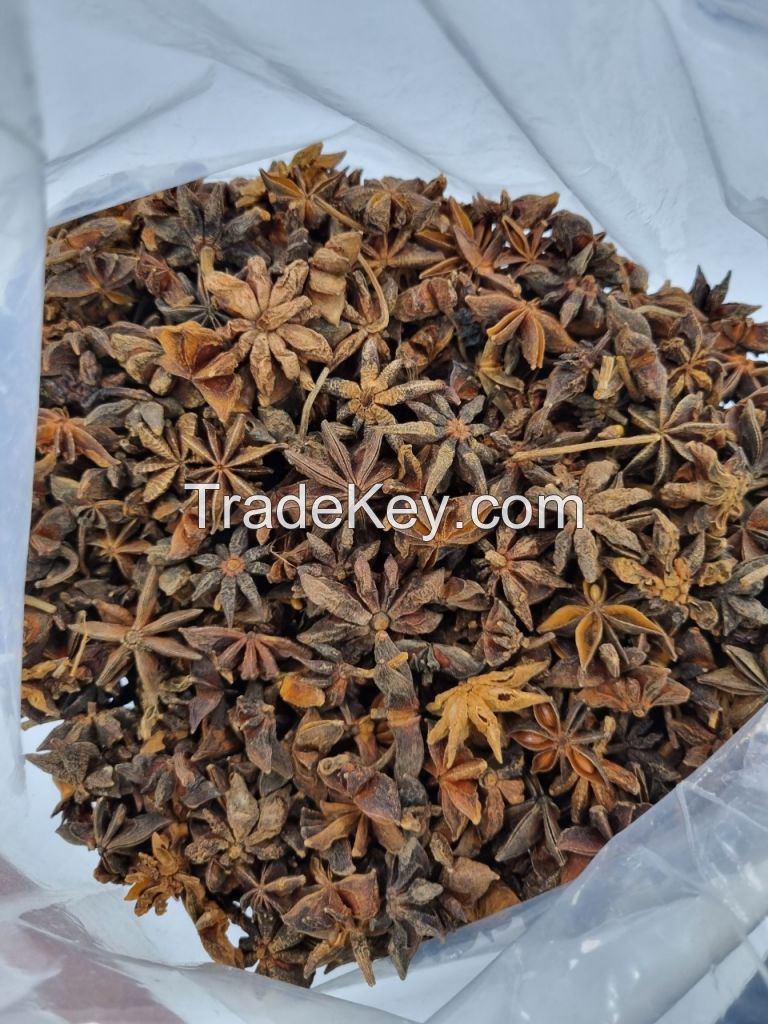 VIETNAM STAR ANISE VARIOUS QUALITY REASONABLE PRICE for sale