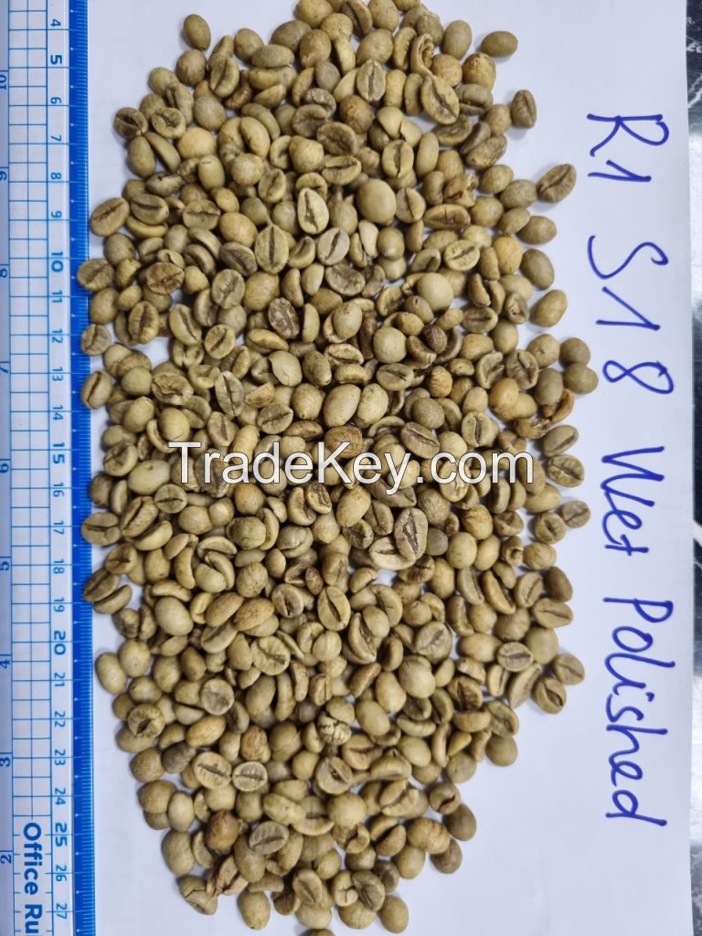 VIETNAM ROBUSTA COFFEE BEANS S18 WET POLISHED TRUSTED EXPORTER
