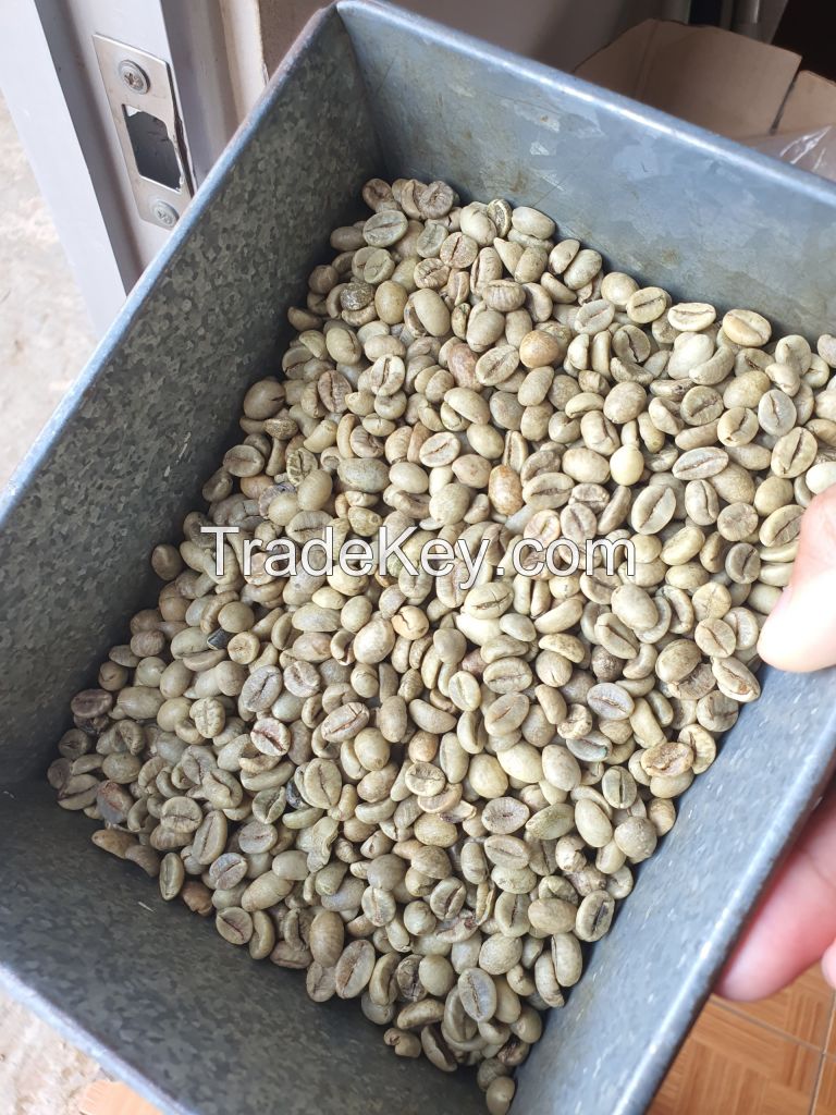 ROBUSTA COFFEE BEANS UNWASHED S18/S16 FAQ Vietnam Origin