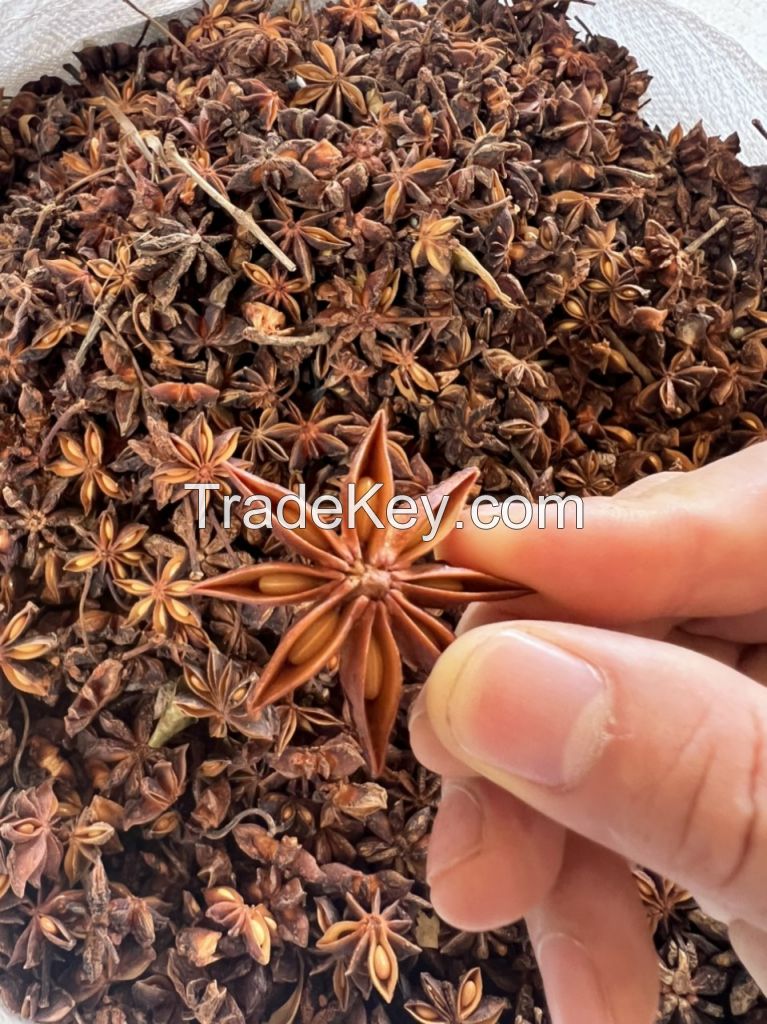 VIETNAM STAR ANISE VARIOUS QUALITY REASONABLE PRICE for sale