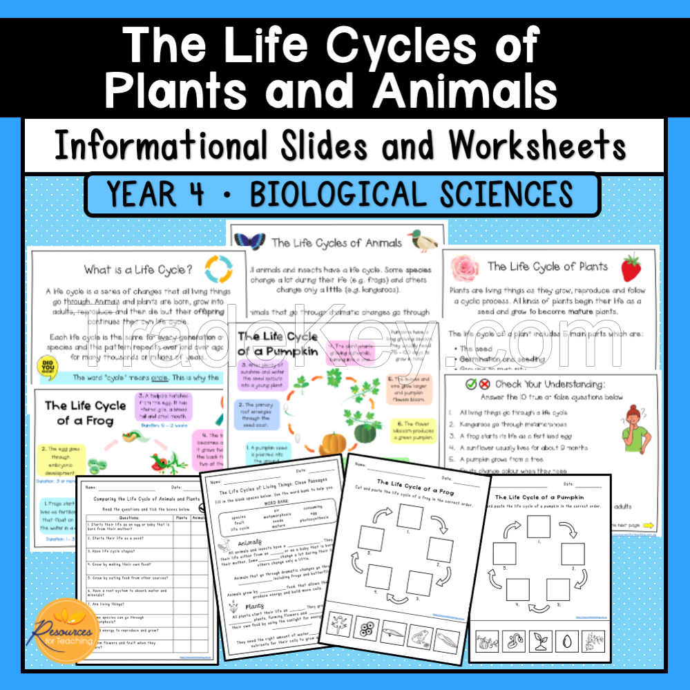 The Life Cycles of Plants and Animals