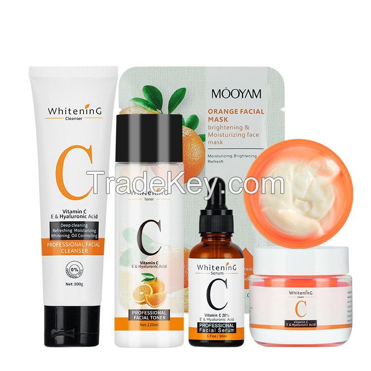 5 Pack Hydrating and Moisturizing Vitamin C Skincare Serum Set
