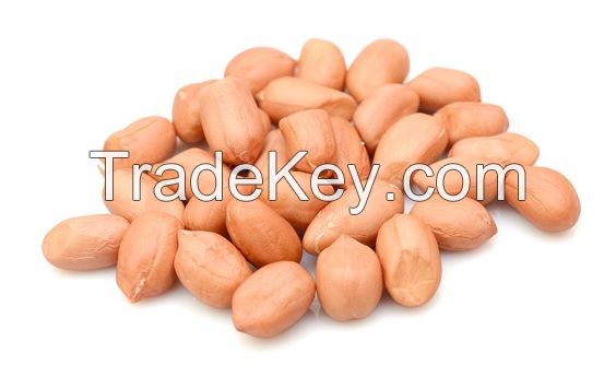 Groundnut/Peanuts