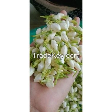 White Jasmine Flowers