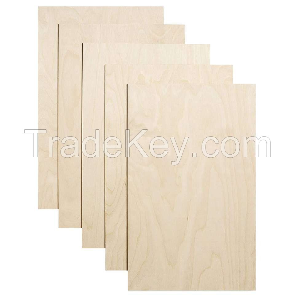 birch plywood 1220*2440