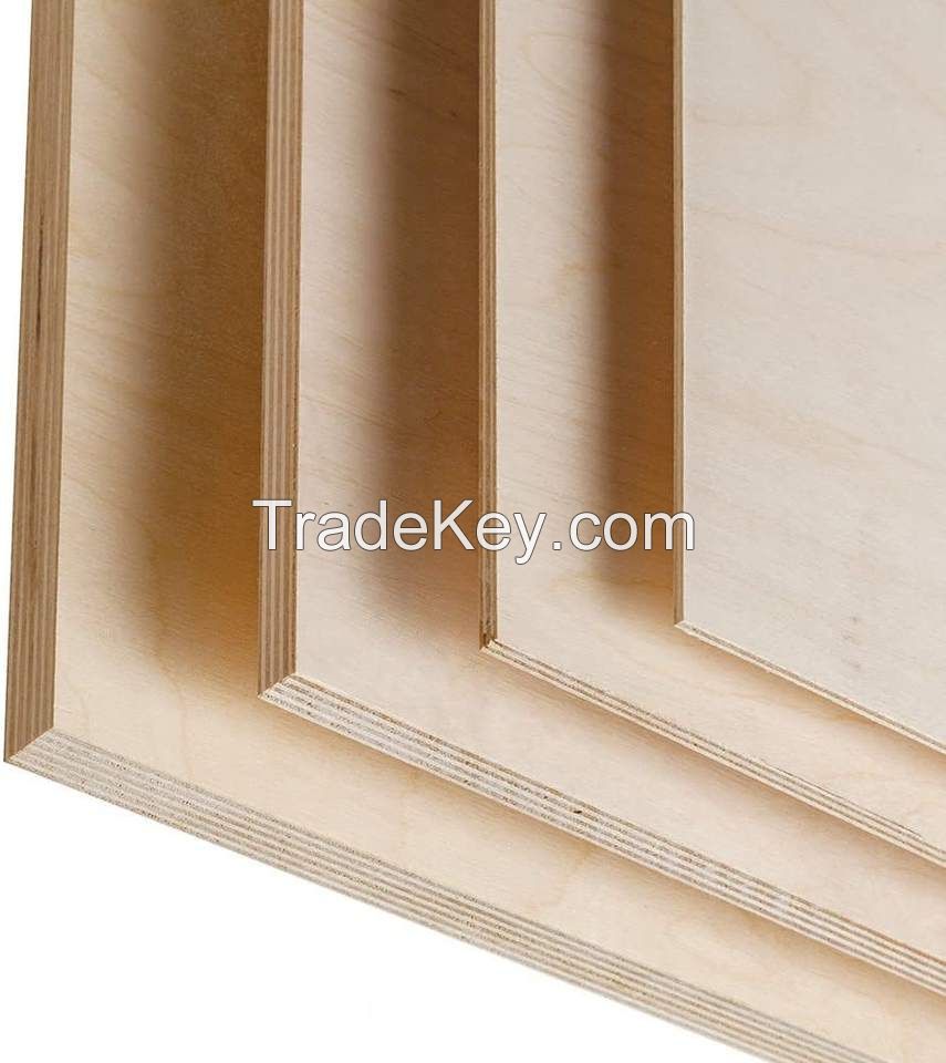 birch plywood 1220*2440