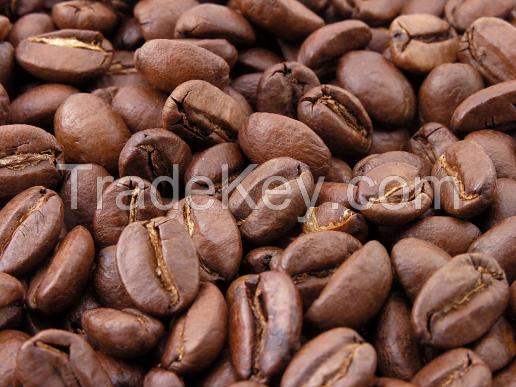 Coffee Beans Coffee Beans Export High Quality Arabica Green Coffee Beans