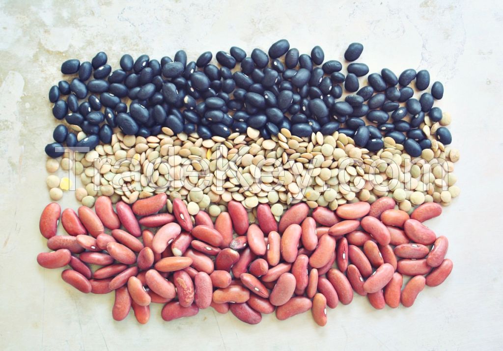 Kidney Bean, white/red/all types very good for the body contains a large amount of fiber vegetable protein