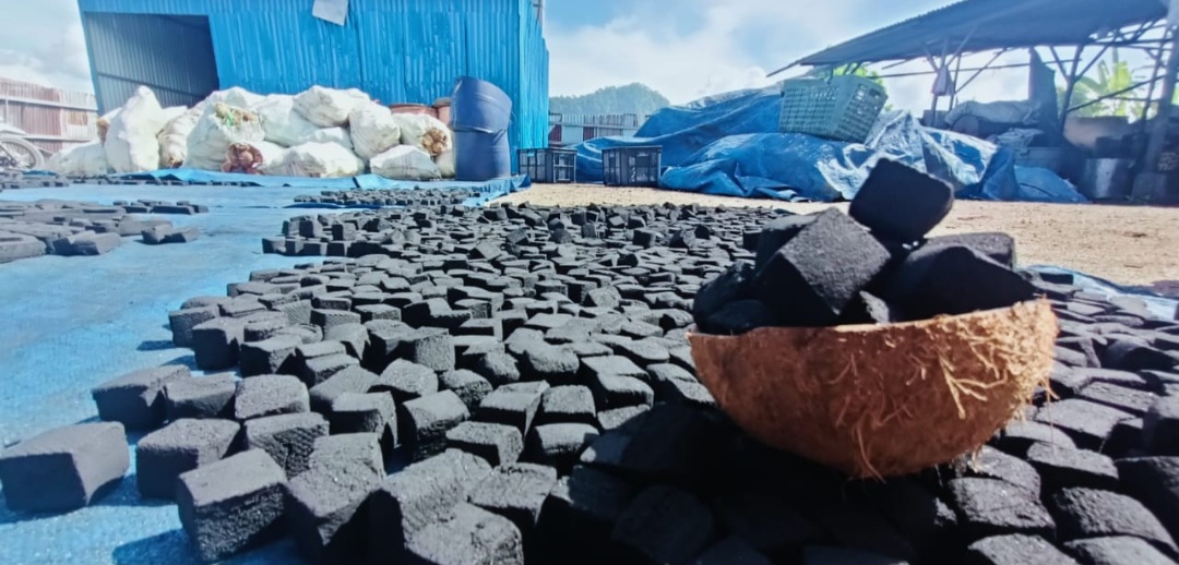 Coconut Shell Charcoal Briquettes