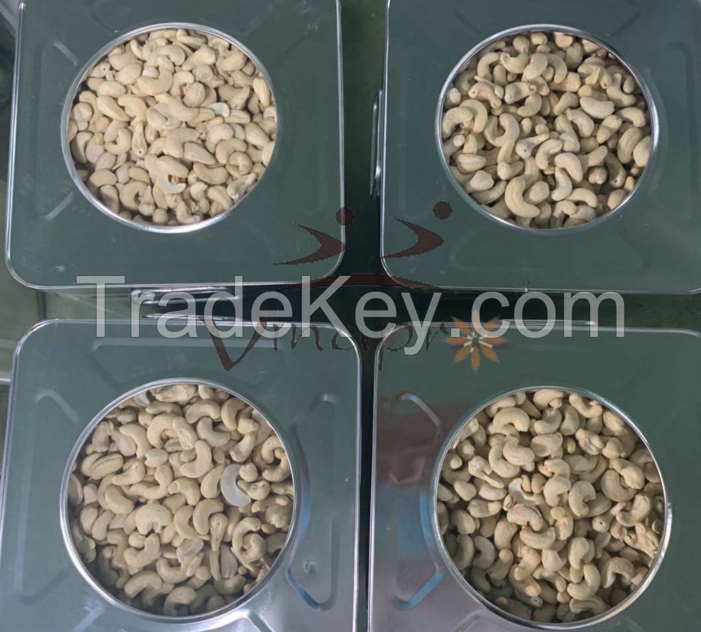 Cashew Nuts WW180/210/240/320/450/WS/LP/SP