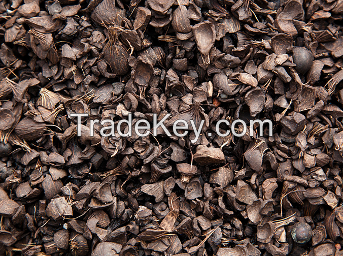 palm kernel shell