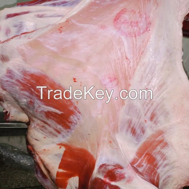 HALAL FRESH FROZEN GOAT/ MUTTON MEAT/ LAMB MEAT