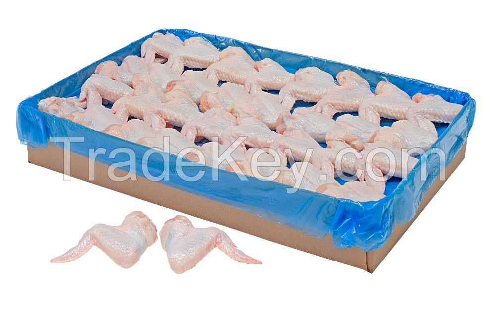 Premium Quality Wholesale Competitive Price Bulk Halal Frozen Chicken Feet / Chicken Feet