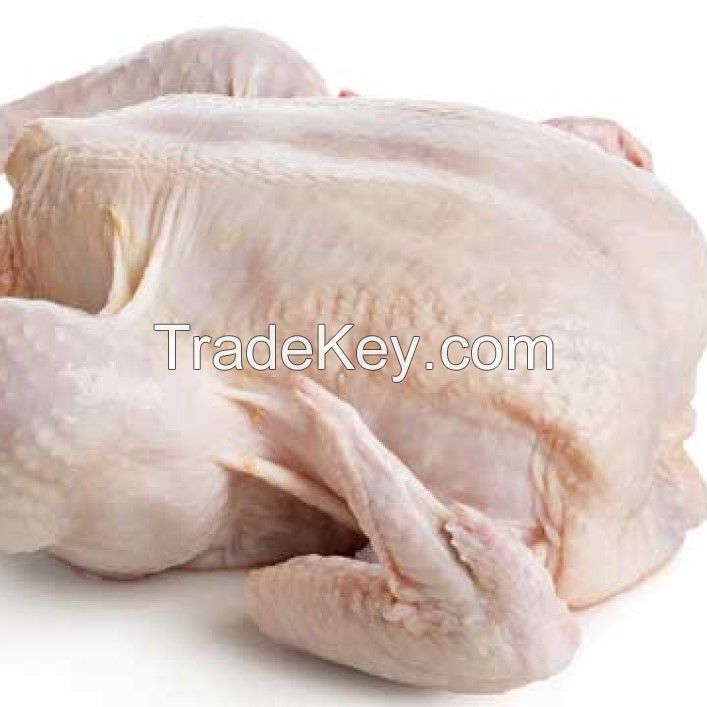 A GRADE HALAL Frozen Whole Chicken and Chicken Cuts Breast Fresh Grade Premium for Export