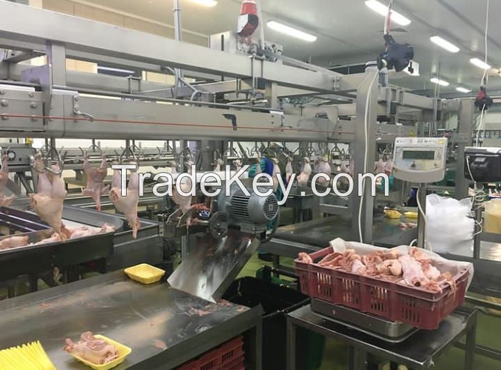 Frozen Chicken Wholesale Brand Poultry Meat Processing Plant Importers Trade Packaging Factories Brazil