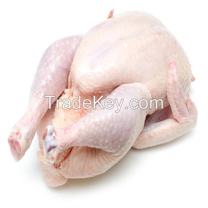 High Quality Healthy and Natural Frozen IQF Whole Chicken Halal Frozen Whole Chicken from Brazil