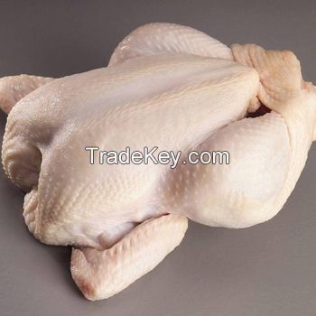 standard quality 680 tons Brazil Halal Frozen Whole Chicken, Frozen Chicken Paws Frozen Processed