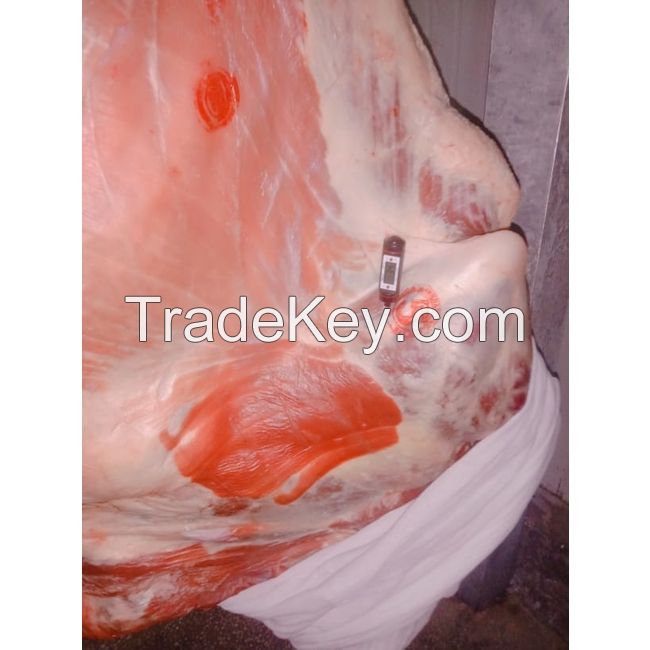 Halal Chilled And Frozen Carcass Lamp Meat /sheep Meat / Mutton Meat Bulk Sale