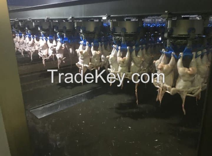 Frozen Chicken Wholesale Brand Poultry Meat Processing Plant Importers Trade Packaging Factories Brazil