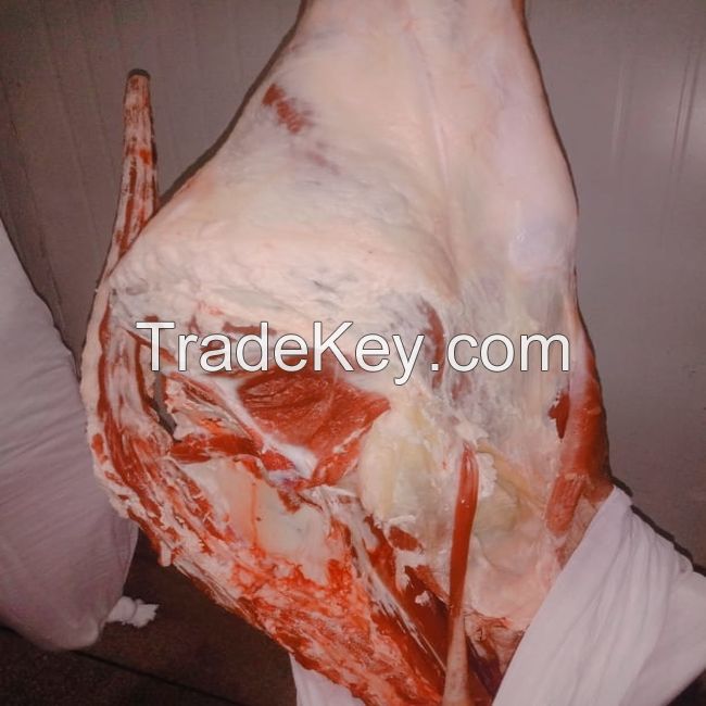 Beef Boneless Meat Trimming/Halal Beef Meat discount price