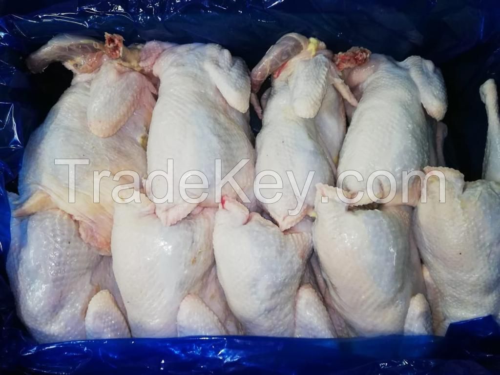 High grade HALAL certified vacuum packing products from manufacturer Uzbekistan whole chicken