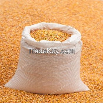 Buy High Quality Yellow Corn Maize Grains