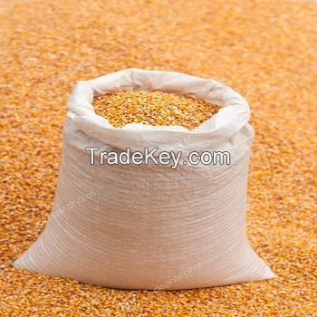 IMPORT Non GMO Yellow Maize Corn/ Yellow Corn & White Corn/Air Dried Yellow Maize Corn at cheap price