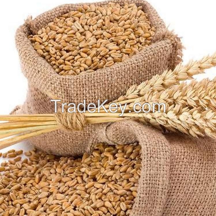 Cheap Wheat Grain/ Soft Milling Wheat Grain , Wheat Grains for Human&amp; Animal Consumption
