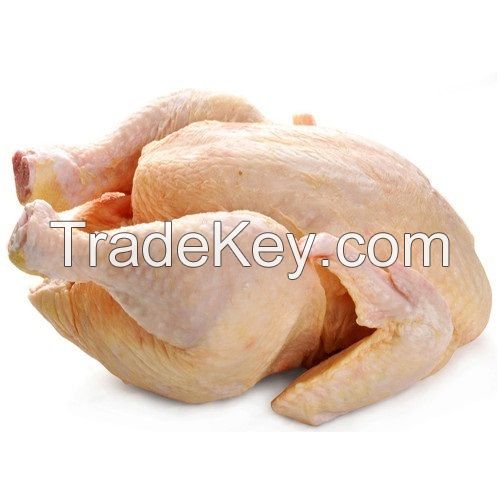 Buy Halal Whole Frozen Chicken For Export /Halal Frozen Whole Chicken