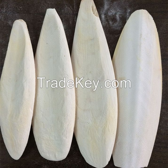 10008 Dried Trimmed Cuttlefish Bone Mo Yu Gu Clean For Animal Feed