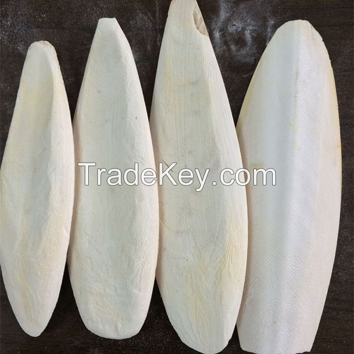 cutlefish bone/ cuttlefish bone powder cheap price for bird